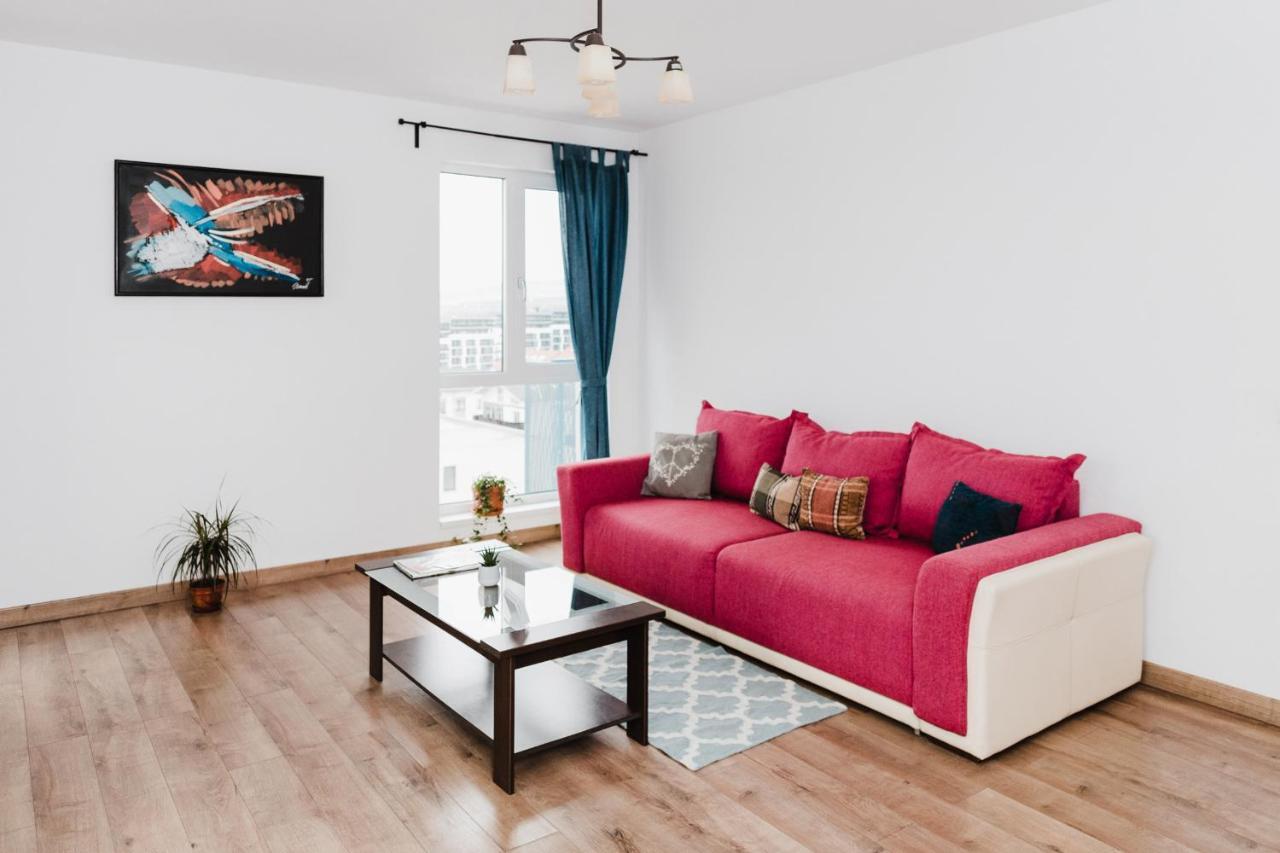 City View Apartment With Free Parking 克卢日-纳波卡 外观 照片