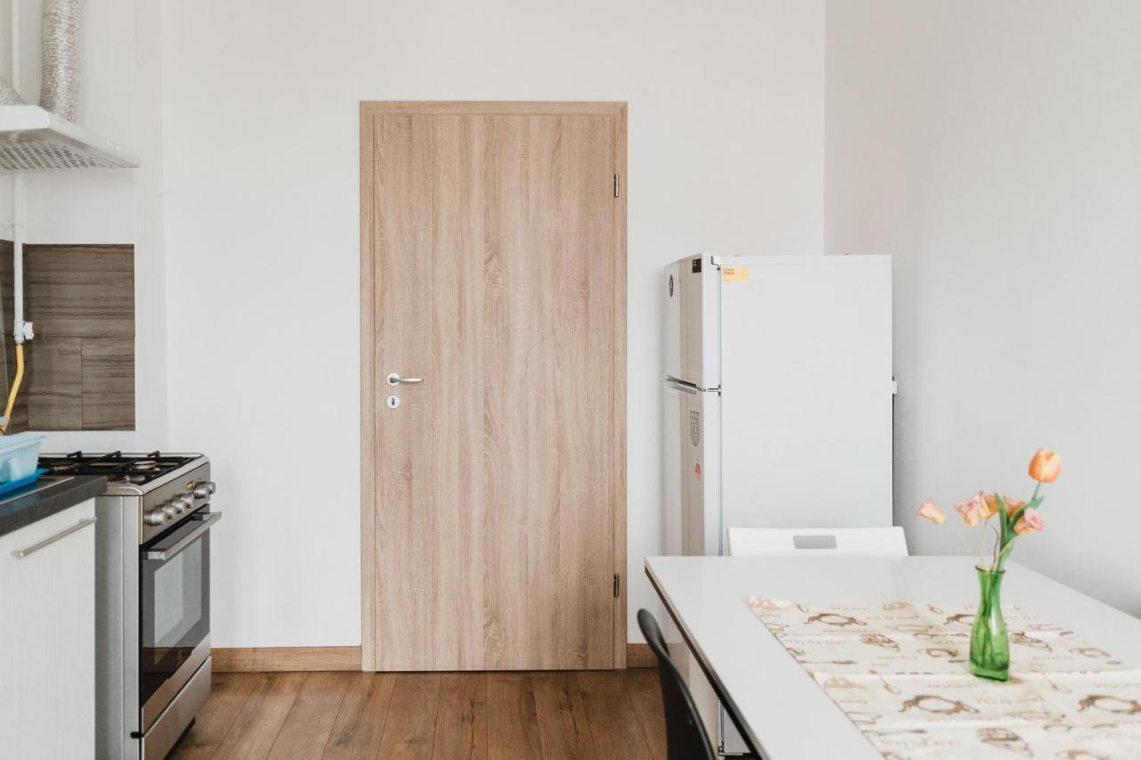 City View Apartment With Free Parking 克卢日-纳波卡 外观 照片