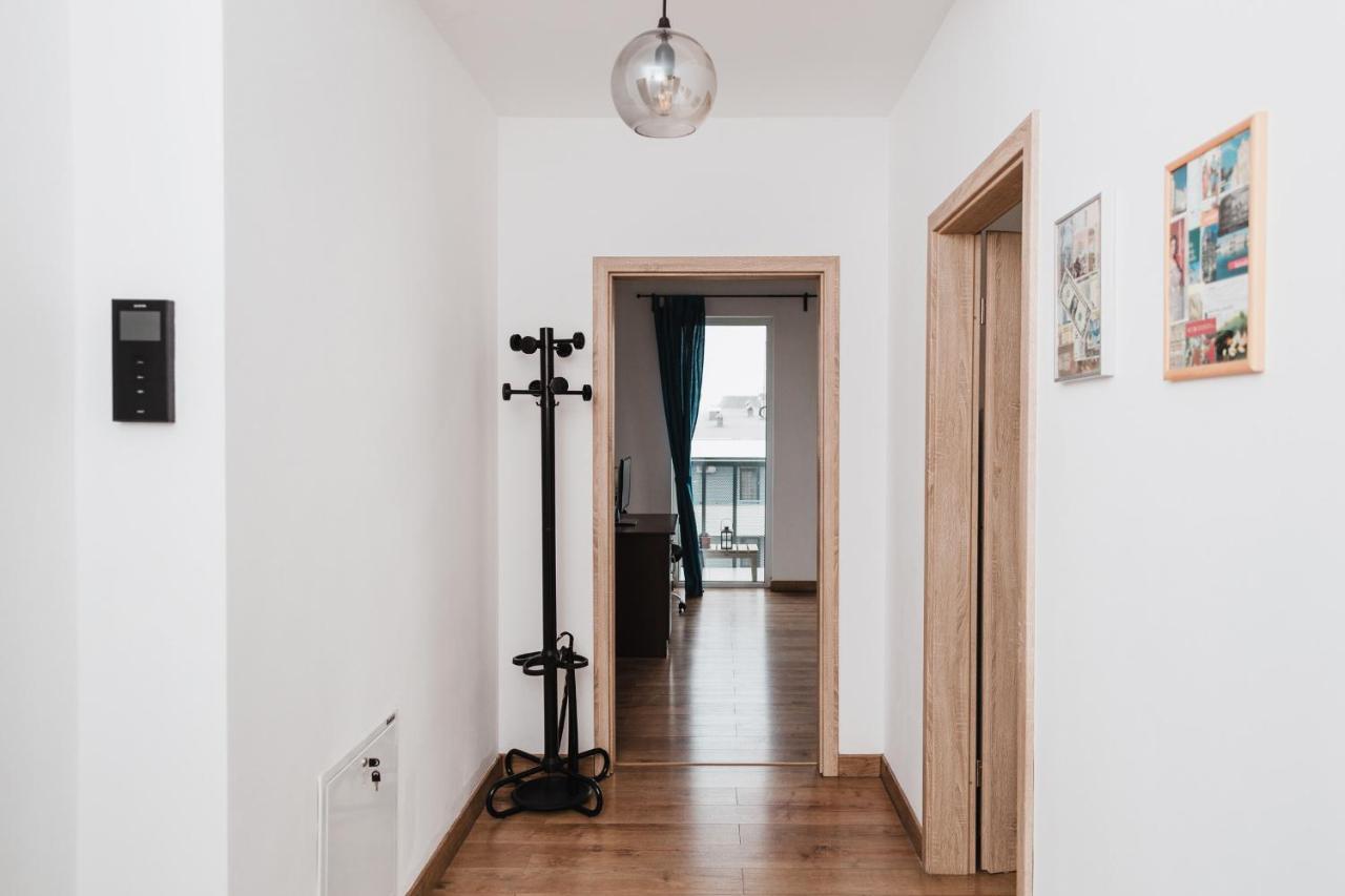 City View Apartment With Free Parking 克卢日-纳波卡 外观 照片